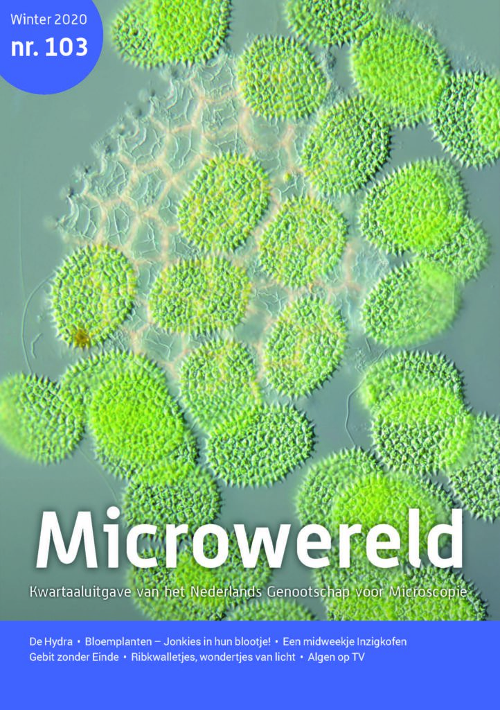 Cover van tijdschrift Microwereld No 103 uit 2020