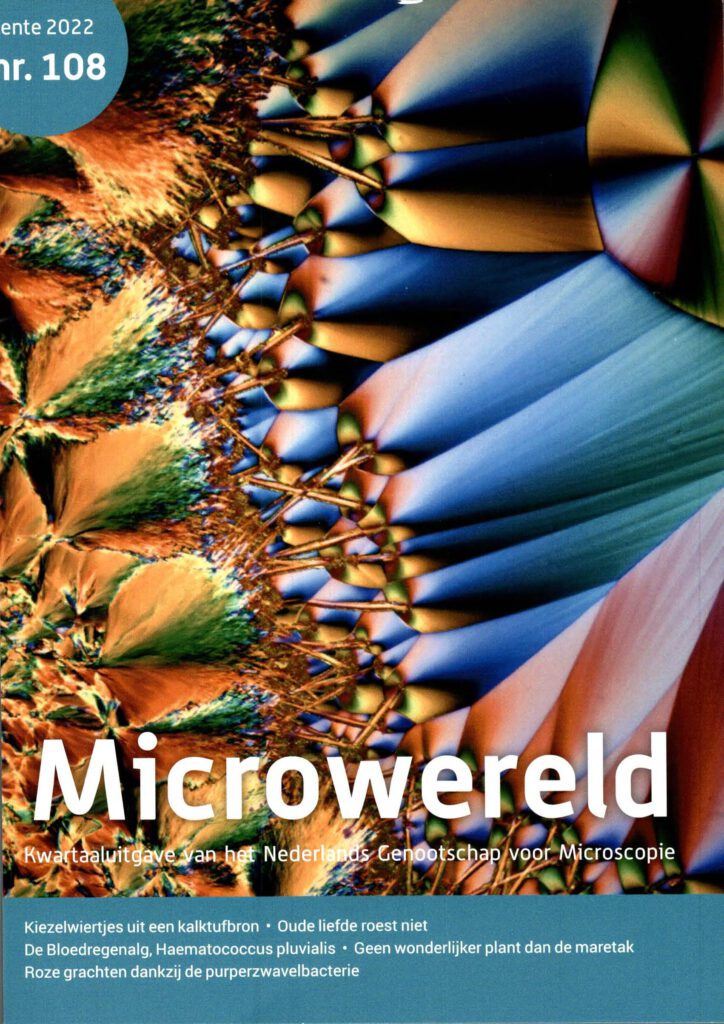 Cover van tijdschrift Microwereld No 108 uit 2022