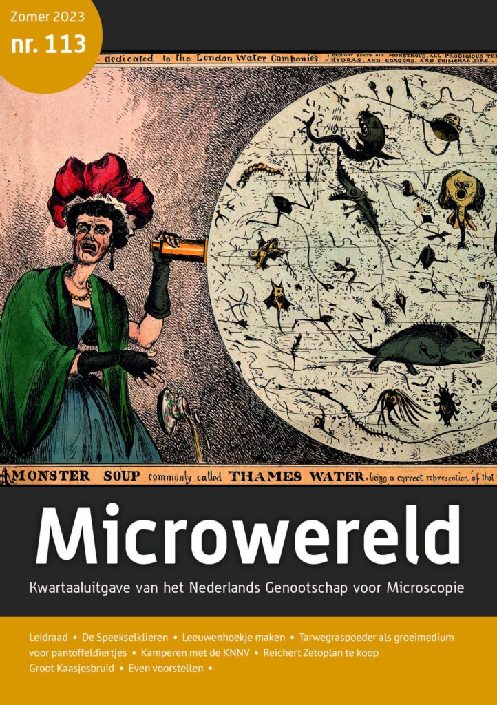 Cover van tijdschrift Microwereld No 113 uit 2023