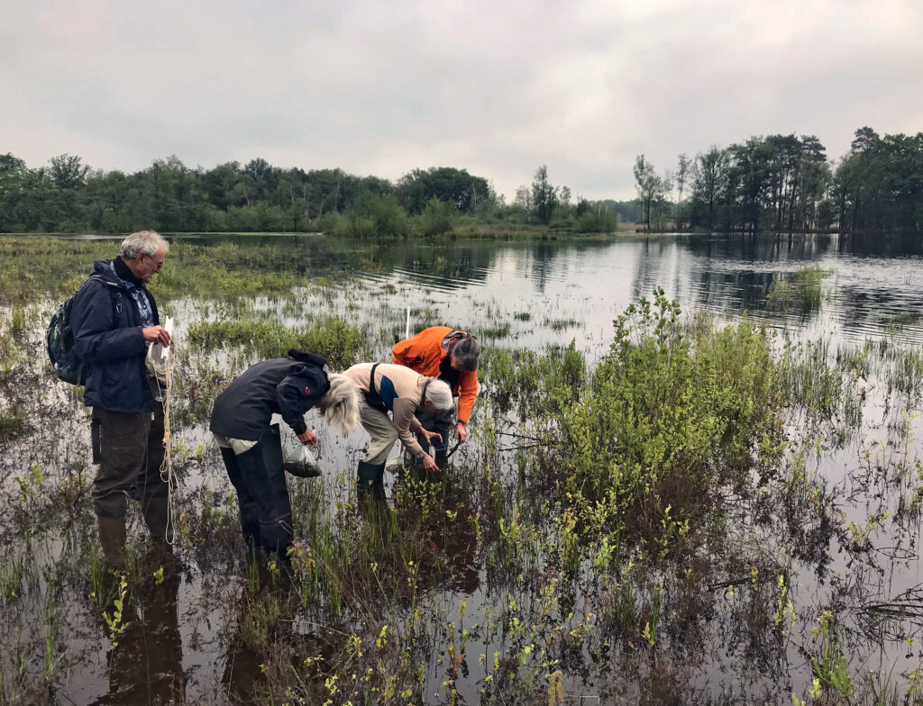 3 mensen staan gebukt in een ven en bekijken kleine plantjes. 1 man staat met een plankton-net erbij te kijken.