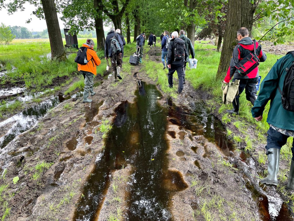 Wandelende mensen op een erg nat pad aan de rand van het bos. Ze hebben tassen en schepnetten mee.