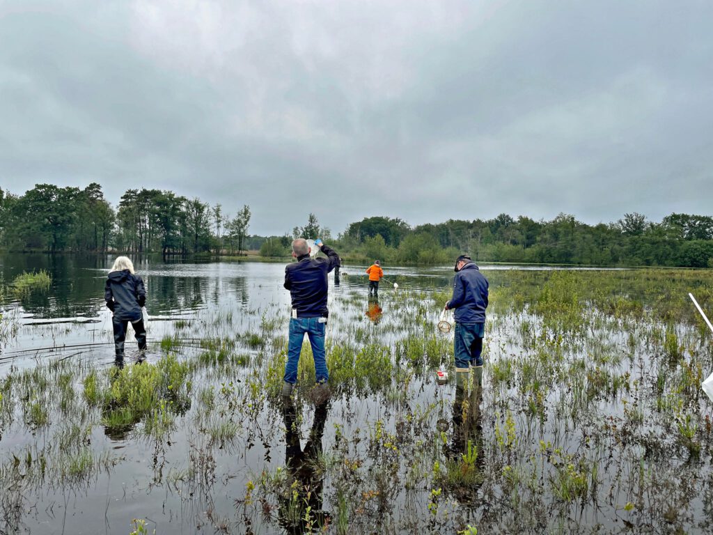 Een 5 tal mensen staan in het water van een ven met een planktonnet