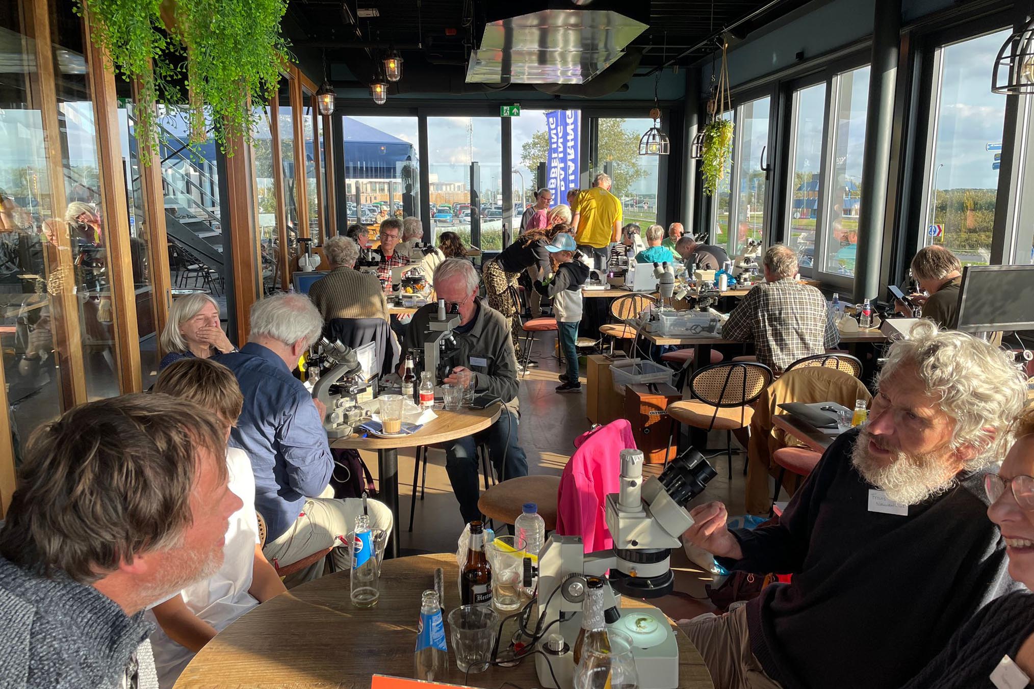 Groep NGVM in restaurant 'Waddengenot aan Zee' hun monsters gevangen op Engelsmanplaat onder de microscoop aan het bekijken.