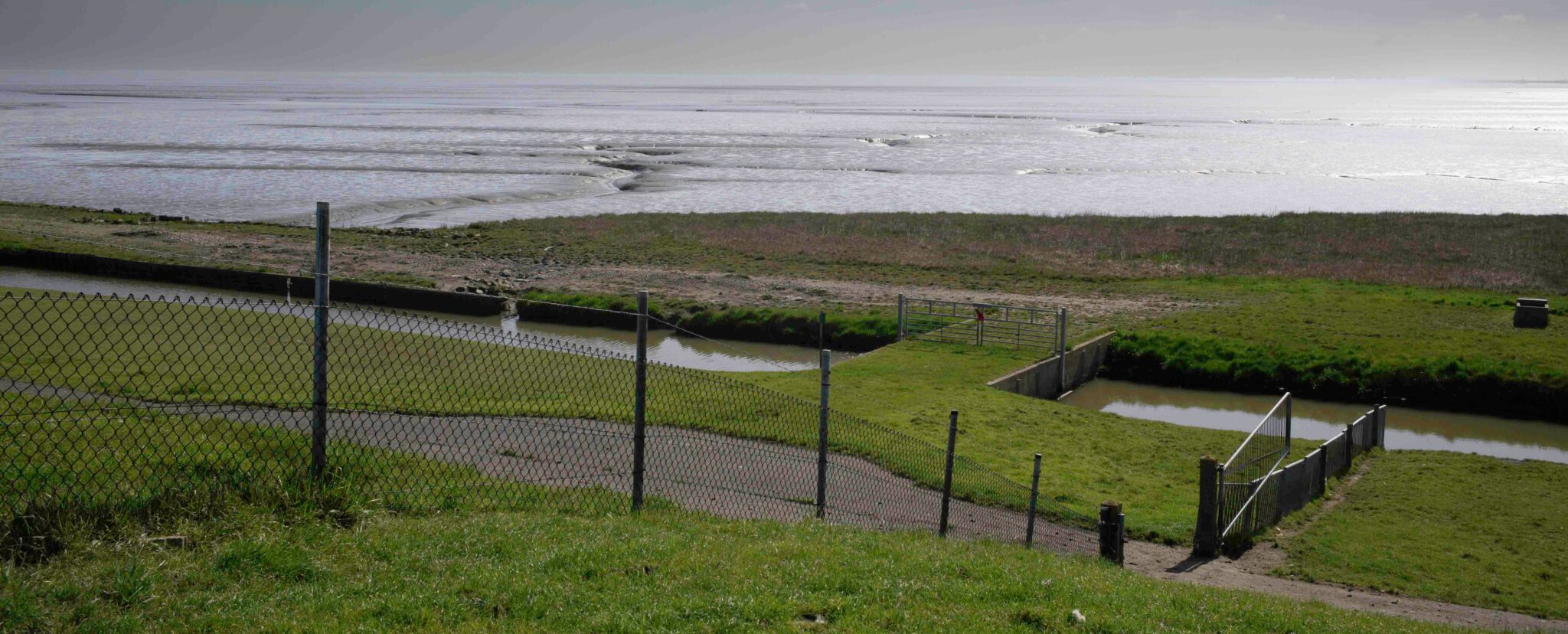 Dollard buitendijks, zout water