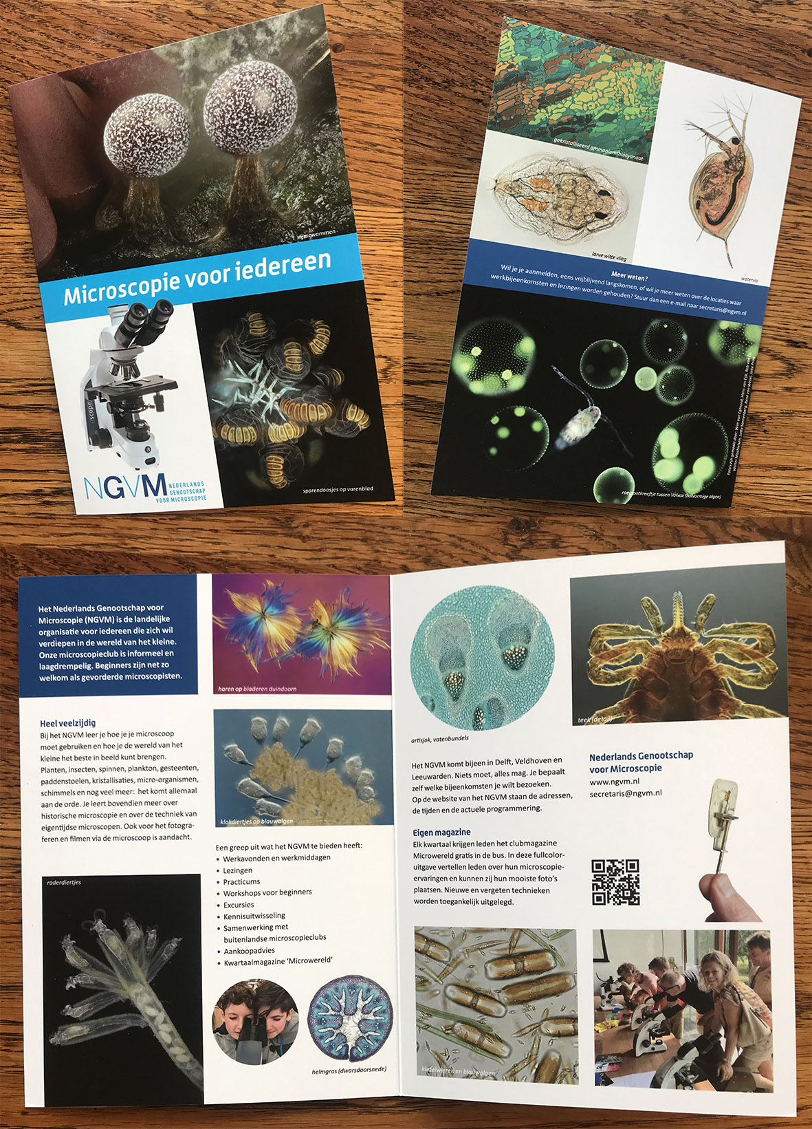 Flyer NGVM uitgave 2025