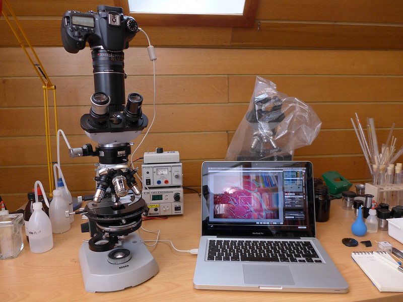 microscoop met camera en camera beeld op de laptop