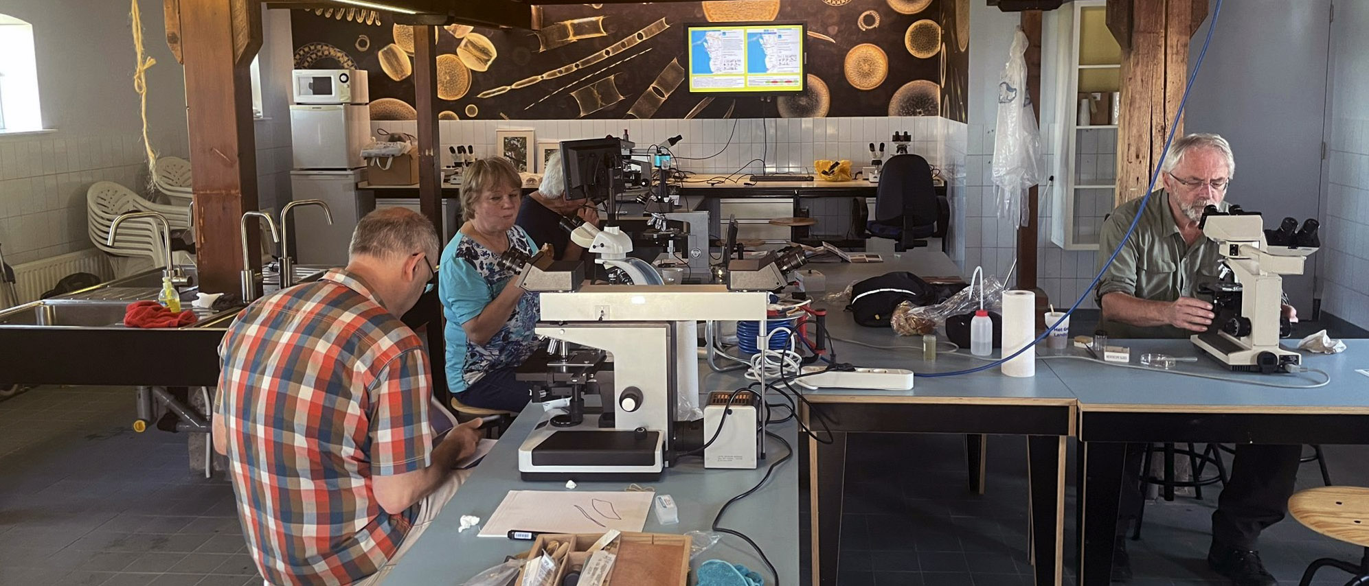 Deel van de leden NGVM-Noord bezig met de voorbereiding van het Dollard festival in het veld-laboratorium.