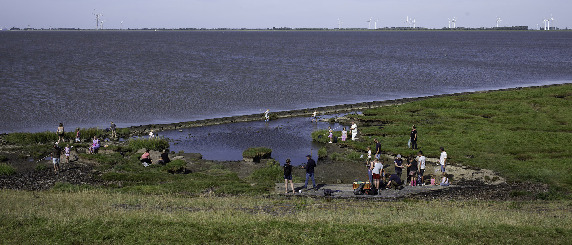 Polder Breebaart buitendijks. Bezoekers zoeken water-organismen. In het veld-laboratorium zijn deze onder de microscoop te zien.