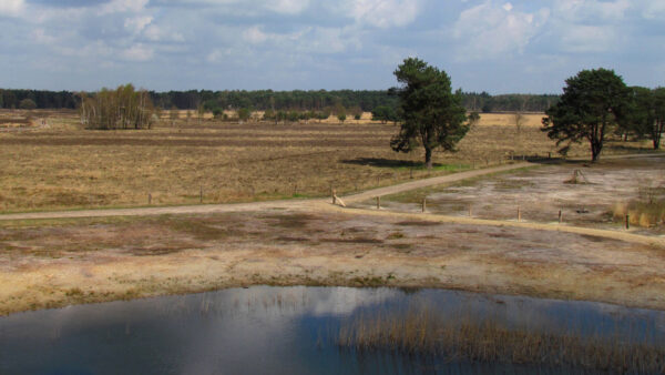 Gorsselse_Heide